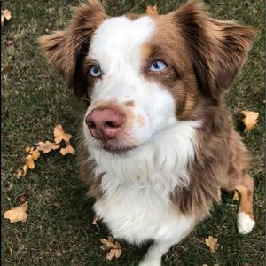 Meet your Posher, Elena